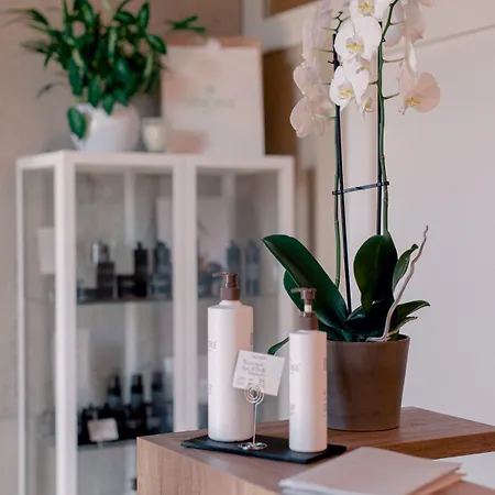 Frühstückspension Relais Montepepe Winery & Forte dei Marmi