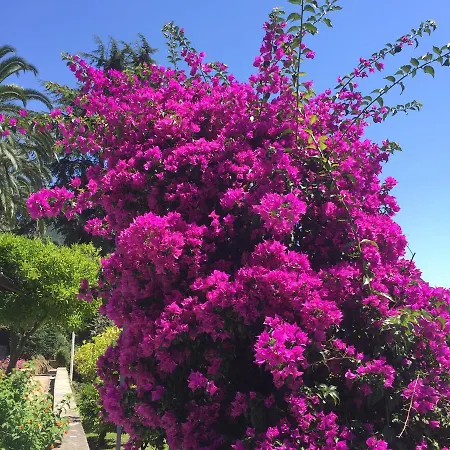 Frühstückspension Relais Montepepe Winery & Forte dei Marmi