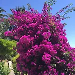 Couette-café Relais Montepepe Winery & Montignoso