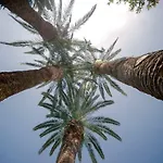 Relais Montepepe Winery & Montignoso