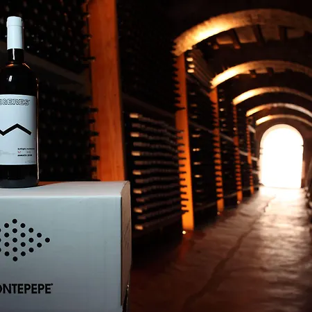 Relais Montepepe Winery & 4* Montignoso
