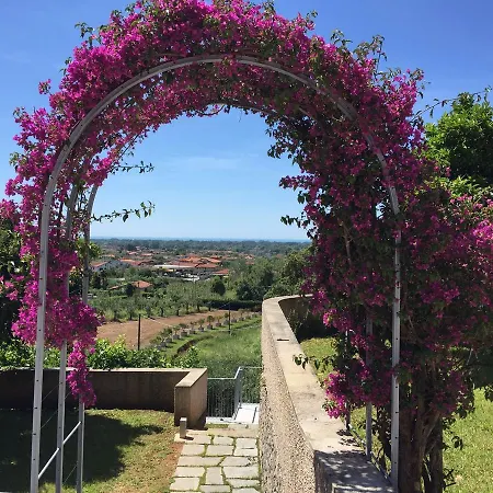 Bed & Breakfast Relais Montepepe Winery &