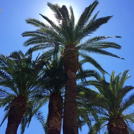 Relais Montepepe Winery & Bed & Breakfast Forte dei Marmi