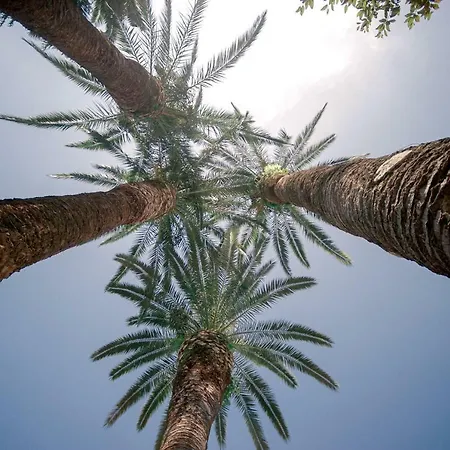 Relais Montepepe Winery & Forte dei Marmi