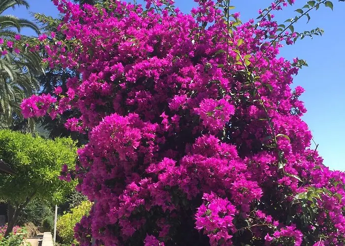 Panzió Relais Montepepe Winery & Forte dei Marmi