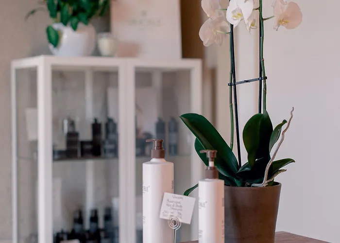 Bed & Breakfast Relais Montepepe Winery & Forte dei Marmi