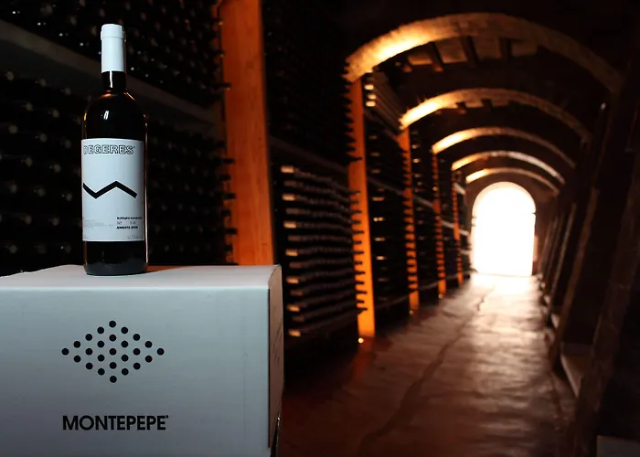 Relais Montepepe Winery & 4* Montignoso