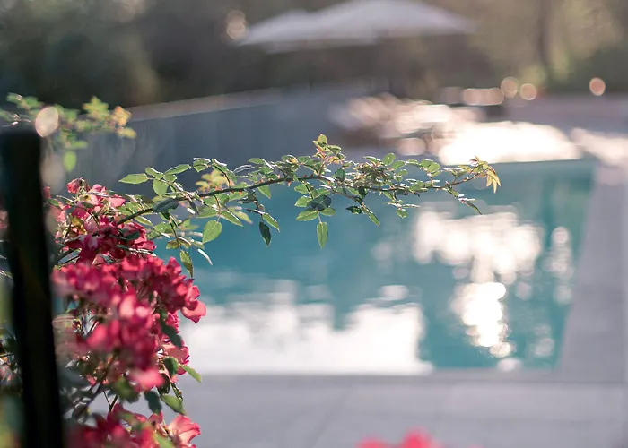 Relais Montepepe Winery & 4* Montignoso