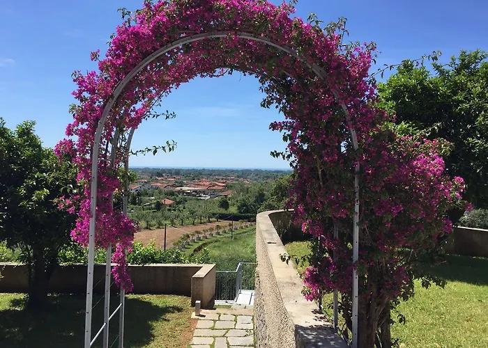 Bed & Breakfast Relais Montepepe Winery &