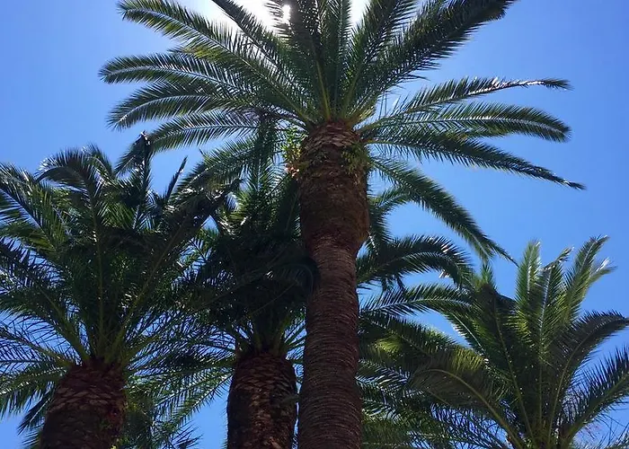 Relais Montepepe Winery & Bed & Breakfast Montignoso