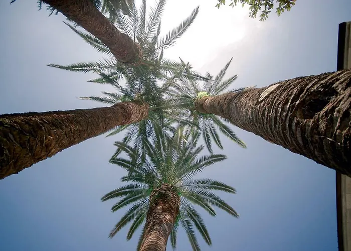 Relais Montepepe Winery & Montignoso